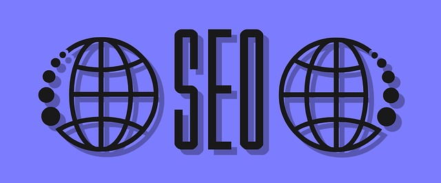 Seo kontrola